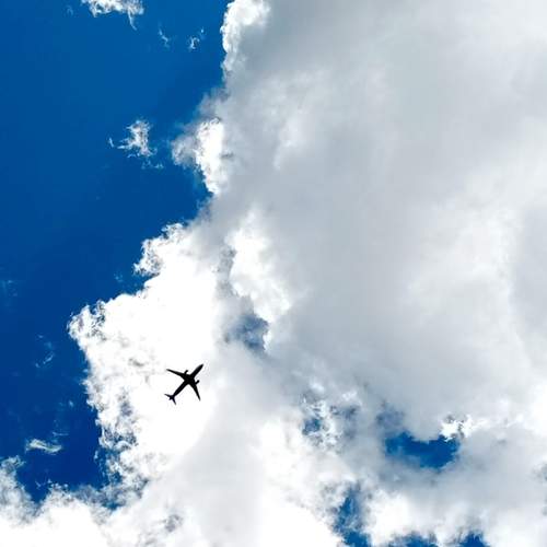 Photo #13740041