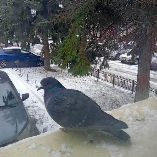 Photo #13740058