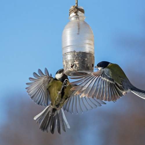 Photo #13740072