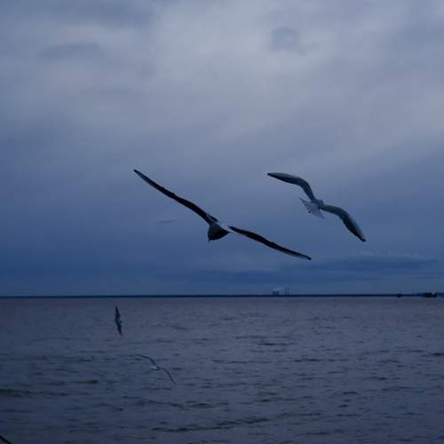 Photo #13740091