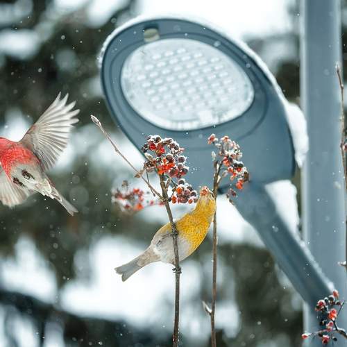 Photo #13740092