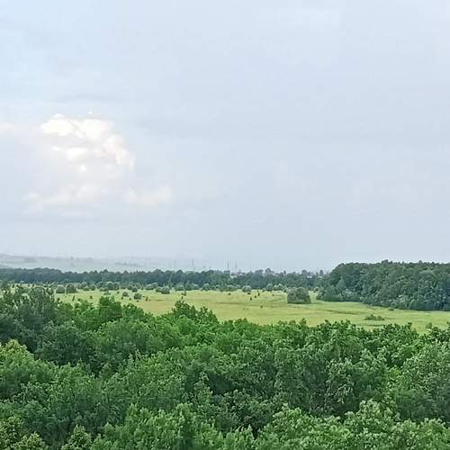 Photo #13740114