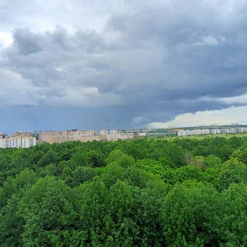 Photo #13740115