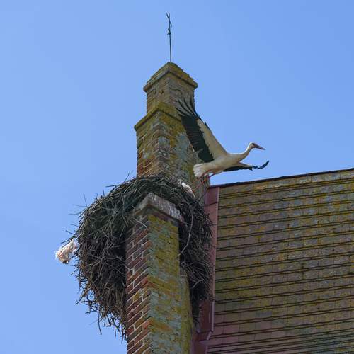 Photo #13740135