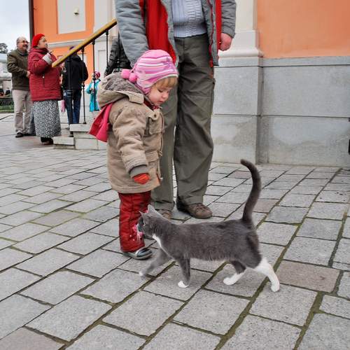 Photo #13740149
