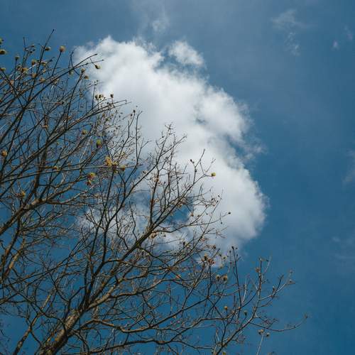 Photo #13740157