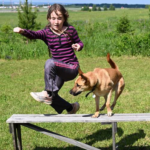 Photo #13740211