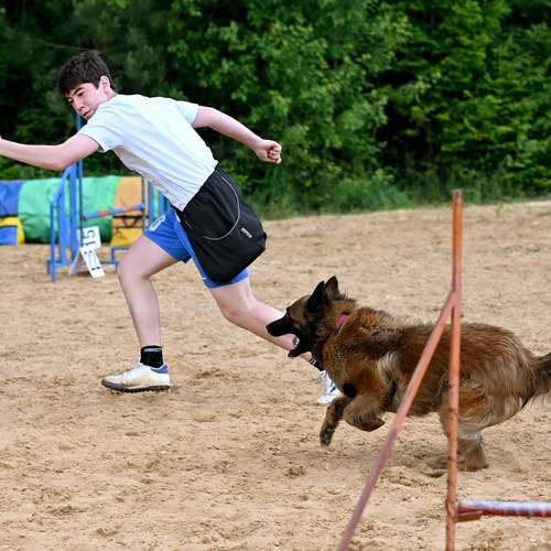 Photo #13740214