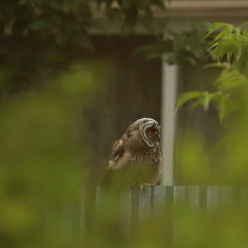 Photo #13740225