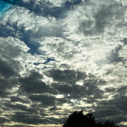 Photo #13740290