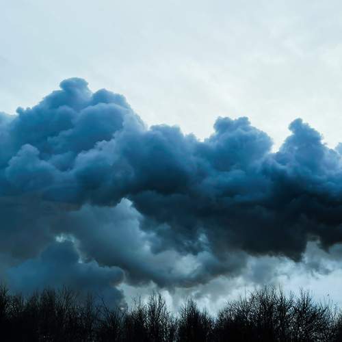Photo #13740292