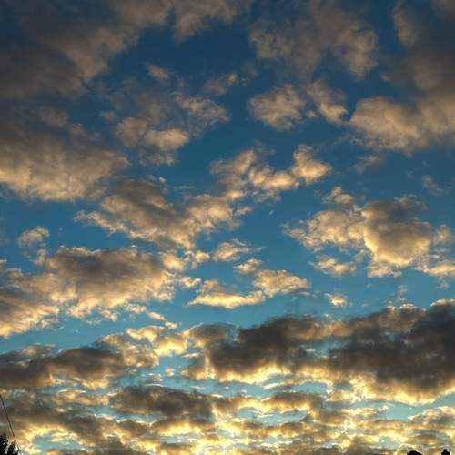 Photo #13740293