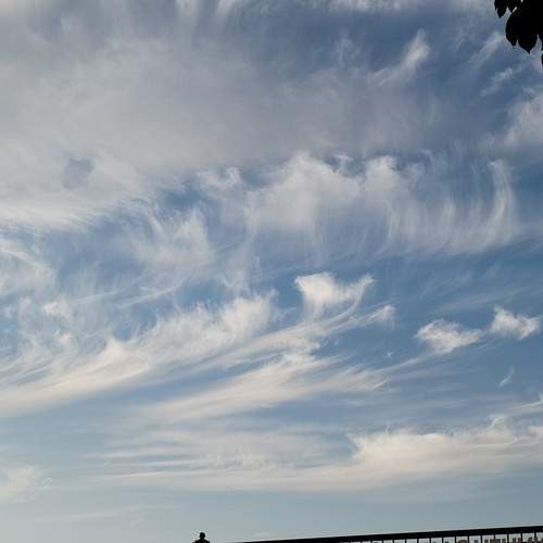 Photo #13740297