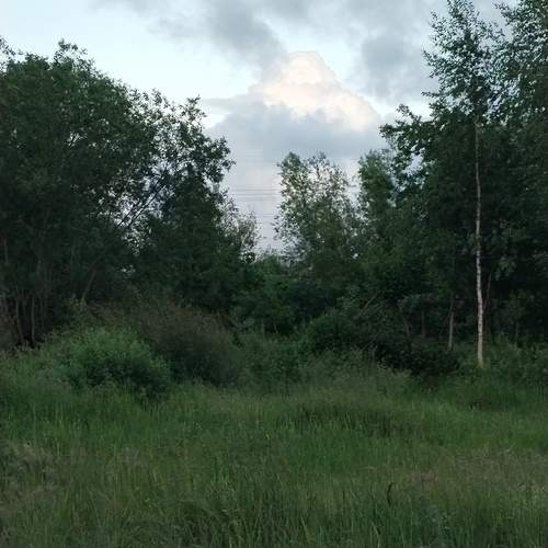 Photo #13740298
