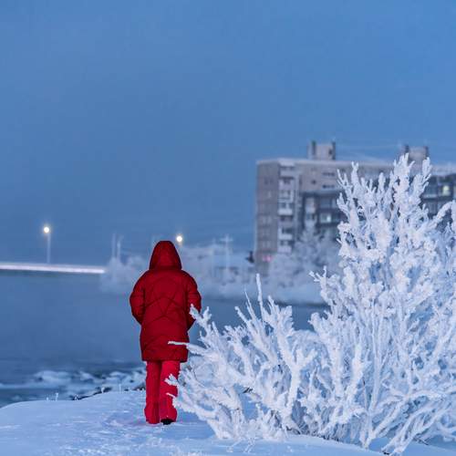 Photo #13740313