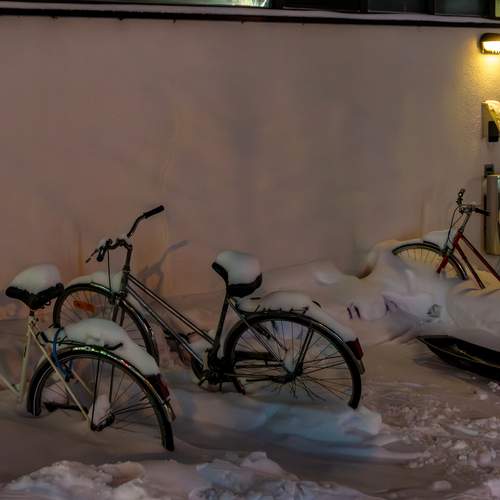 Photo #13740332