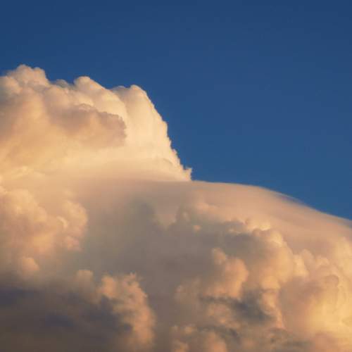 Photo #13740335