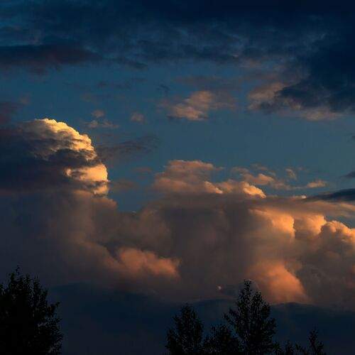 Photo #13740348