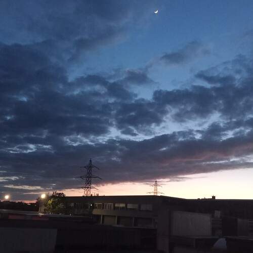 Photo #13740362