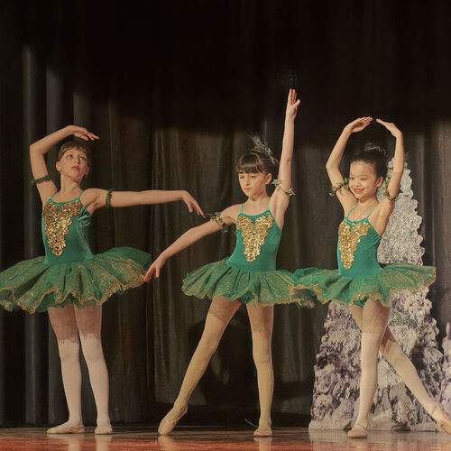 Photo #13740364
