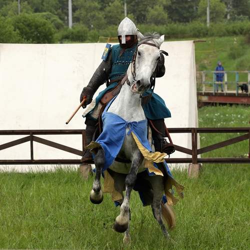 Витязь (The Knight)