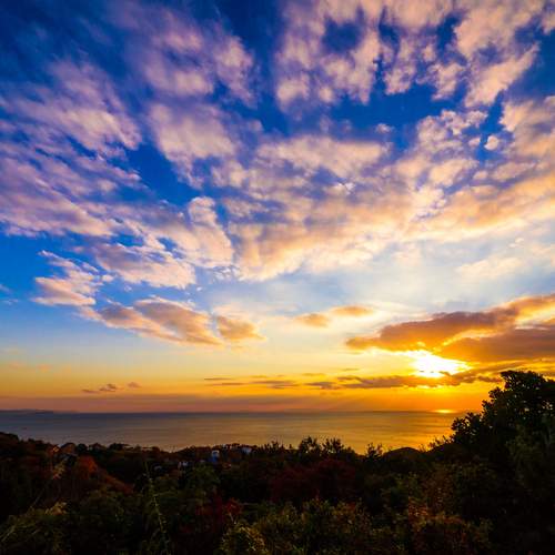 Photo #13740436