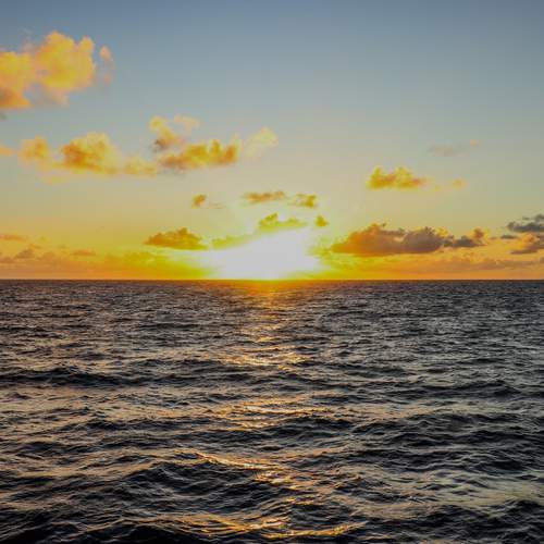 Photo #13740487