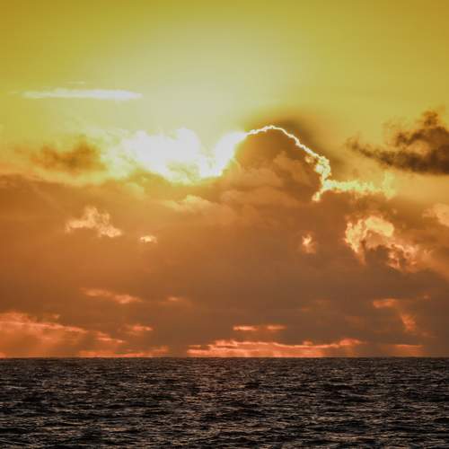 Photo #13740489