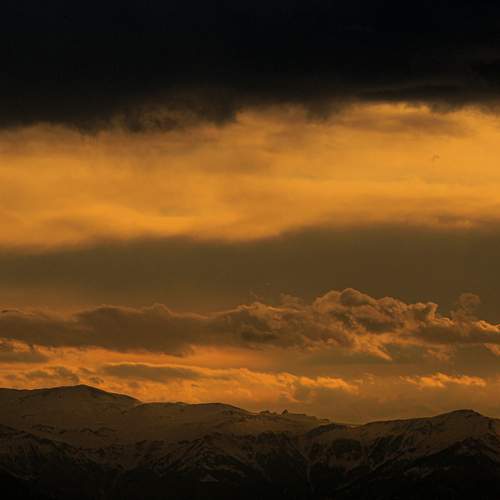 Photo #13740501