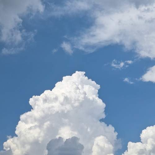 Photo #13740554
