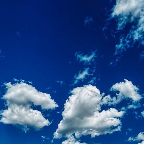 Photo #13740566