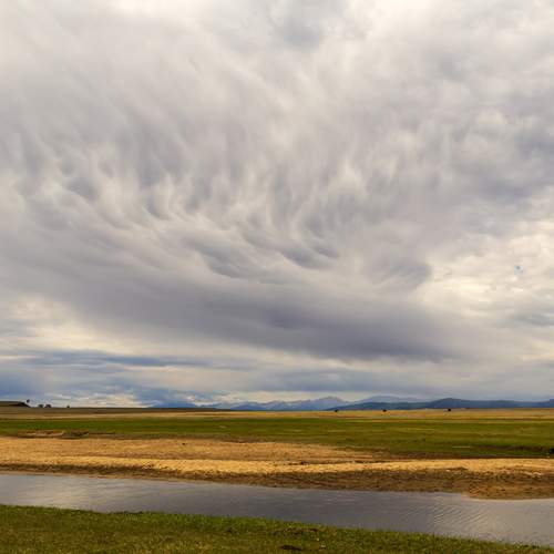 Photo #13740570