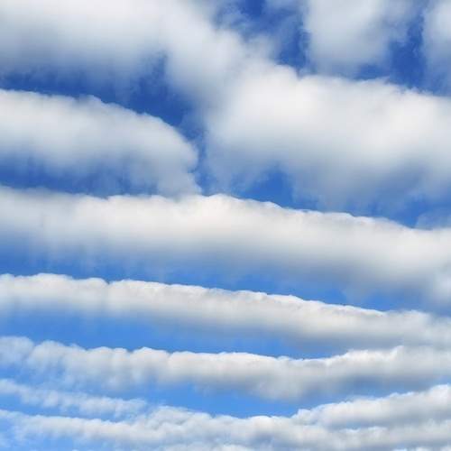 Photo #13740609