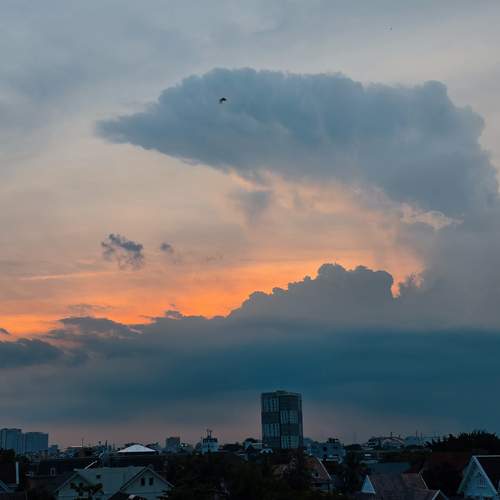Photo #13740616