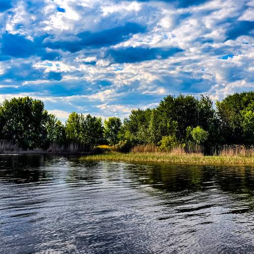 Photo #13740620