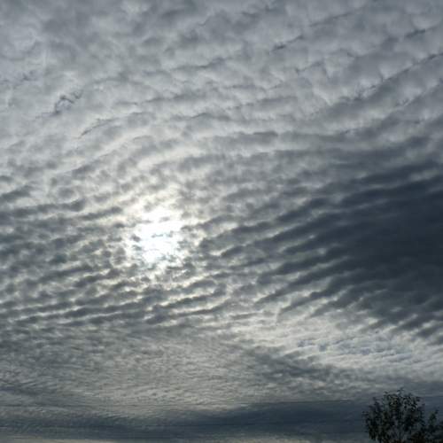 Photo #13740641