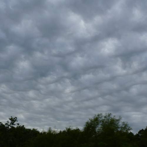 Photo #13740643