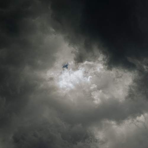 Photo #13740647