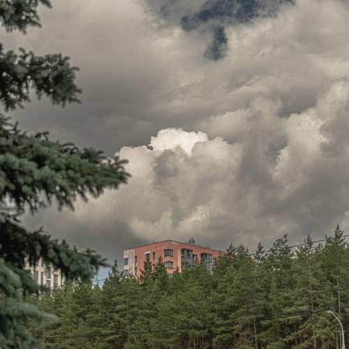 Photo #13740649
