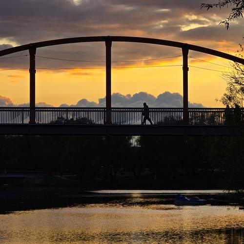 Photo #13740660
