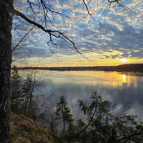 Photo #13740663