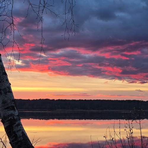 Photo #13740664