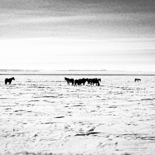 Photo #13740723