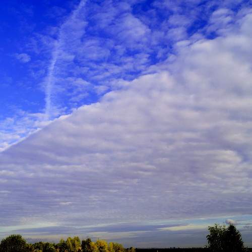 Photo #13740752
