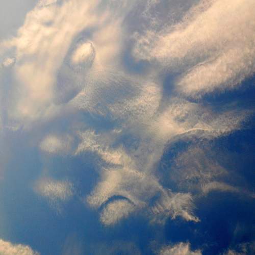 Photo #13740755