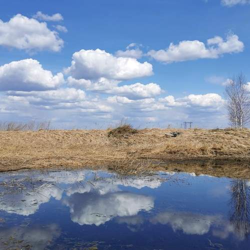 Photo #13740762