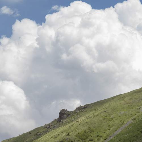 Photo #13740785