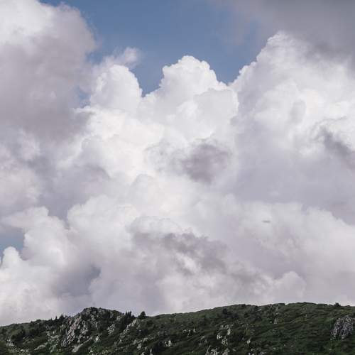 Photo #13740792
