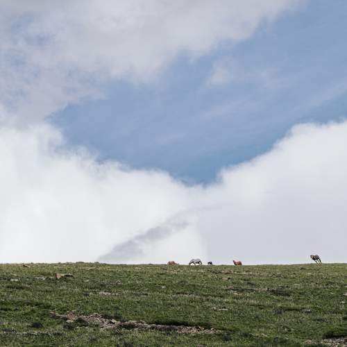 Photo #13740793