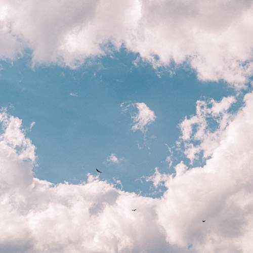 Photo #13740907
